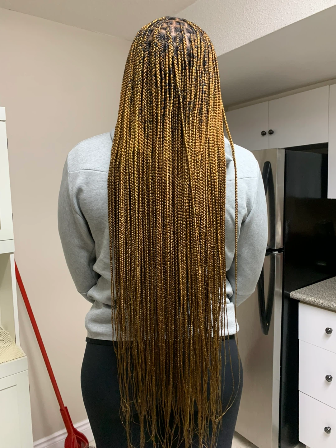 Braids - photo 5