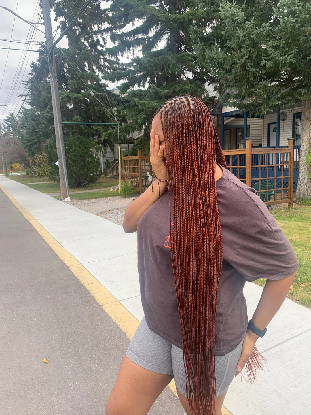 Braids - photo 4