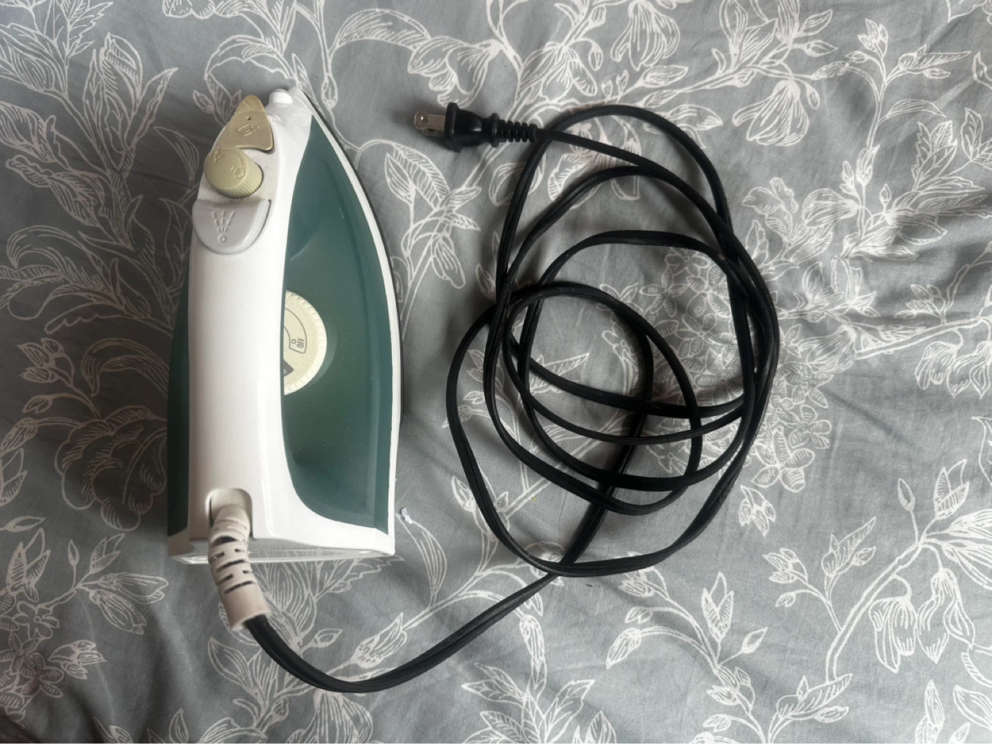 Steam Iron