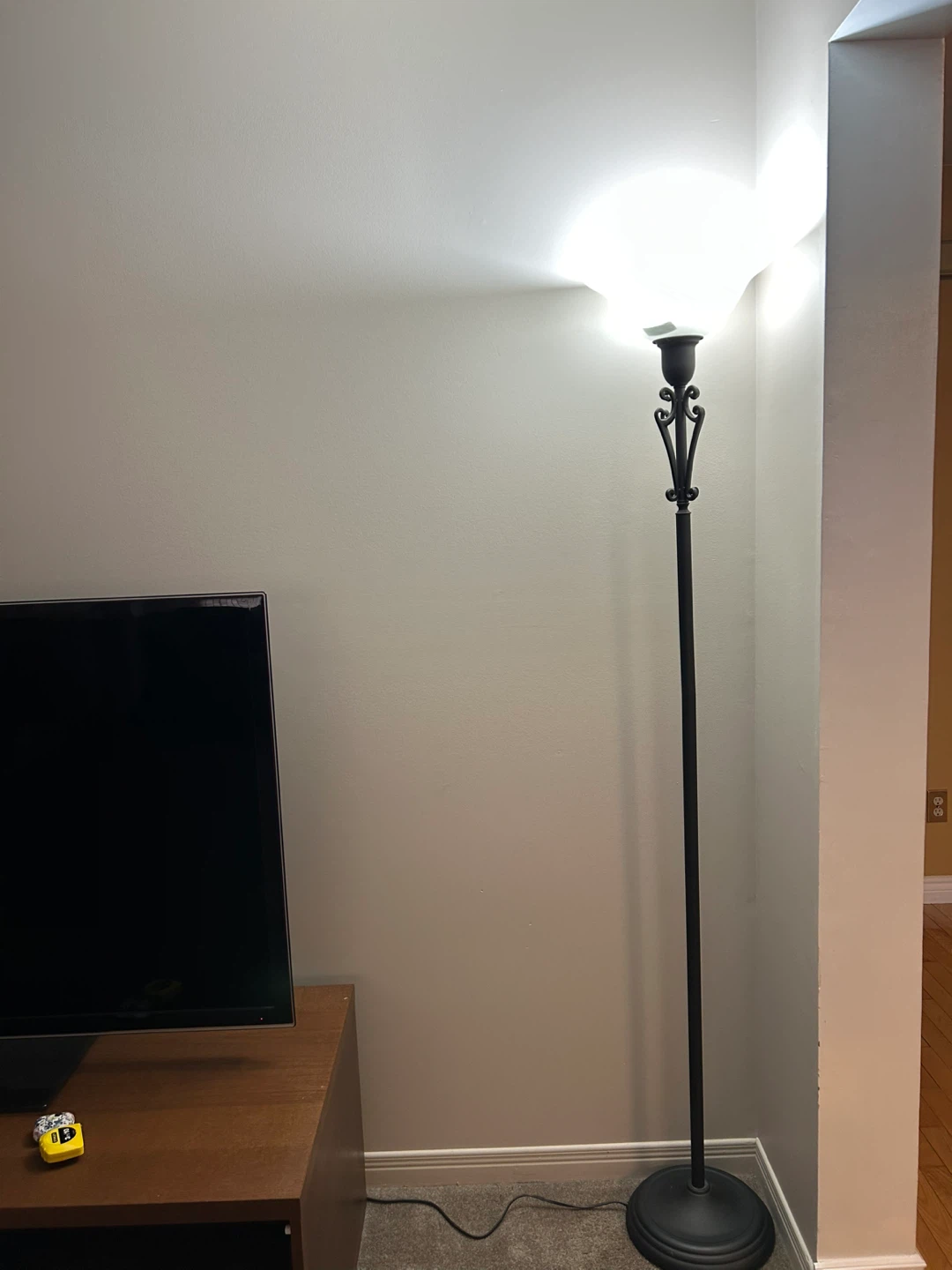 Floor Lamp with Frosted Glass Shade
