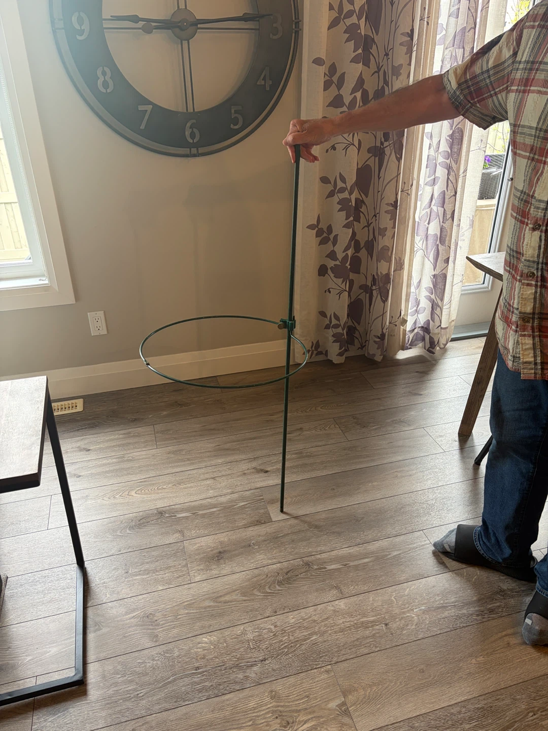 Green Metal Plant Support Stake with Ring