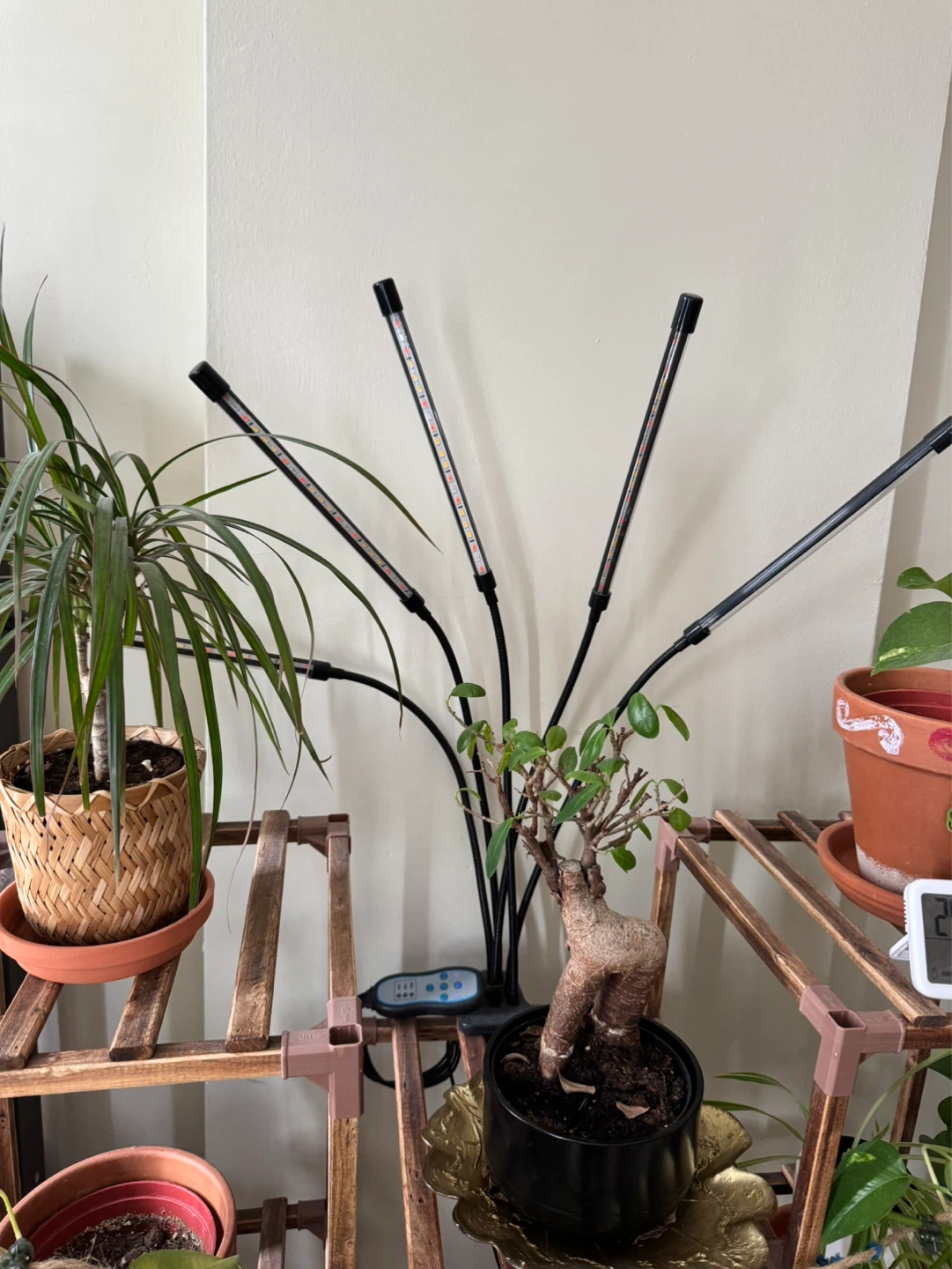 LED Grow Light with 5 Gooseneck Arms - photo 4