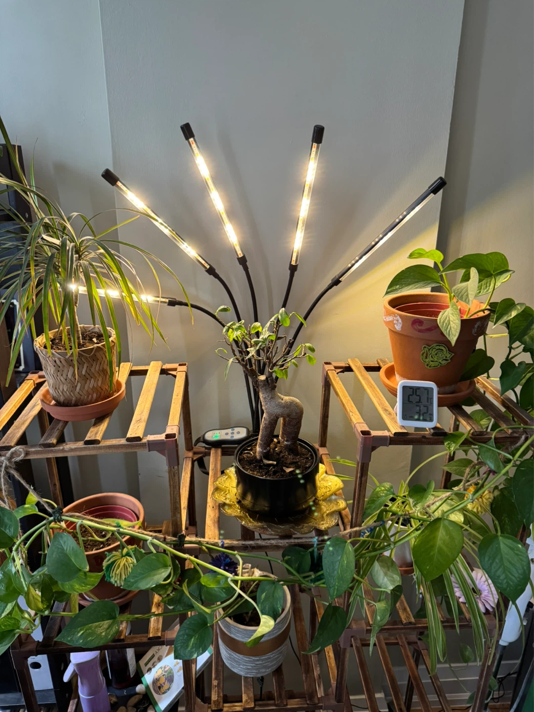 LED Grow Light with 5 Gooseneck Arms - photo 3