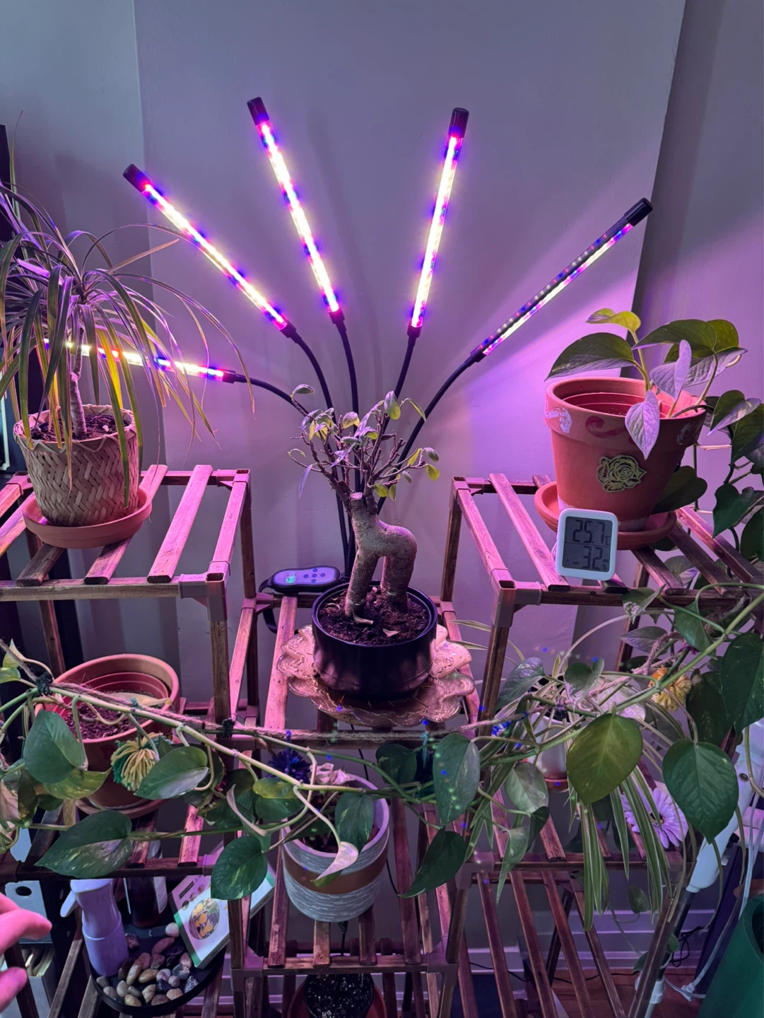 LED Grow Light with 5 Gooseneck Arms - photo 2