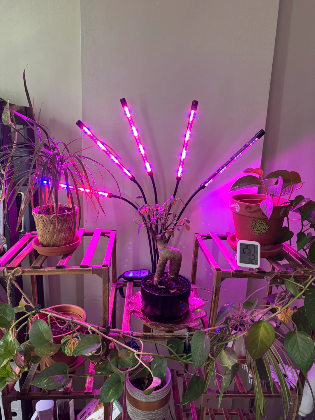 LED Grow Light with 5 Gooseneck Arms