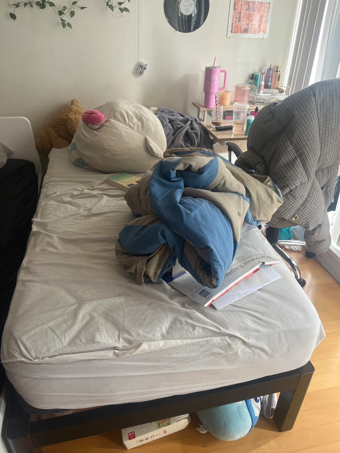 Twin Bed Frame & mattress