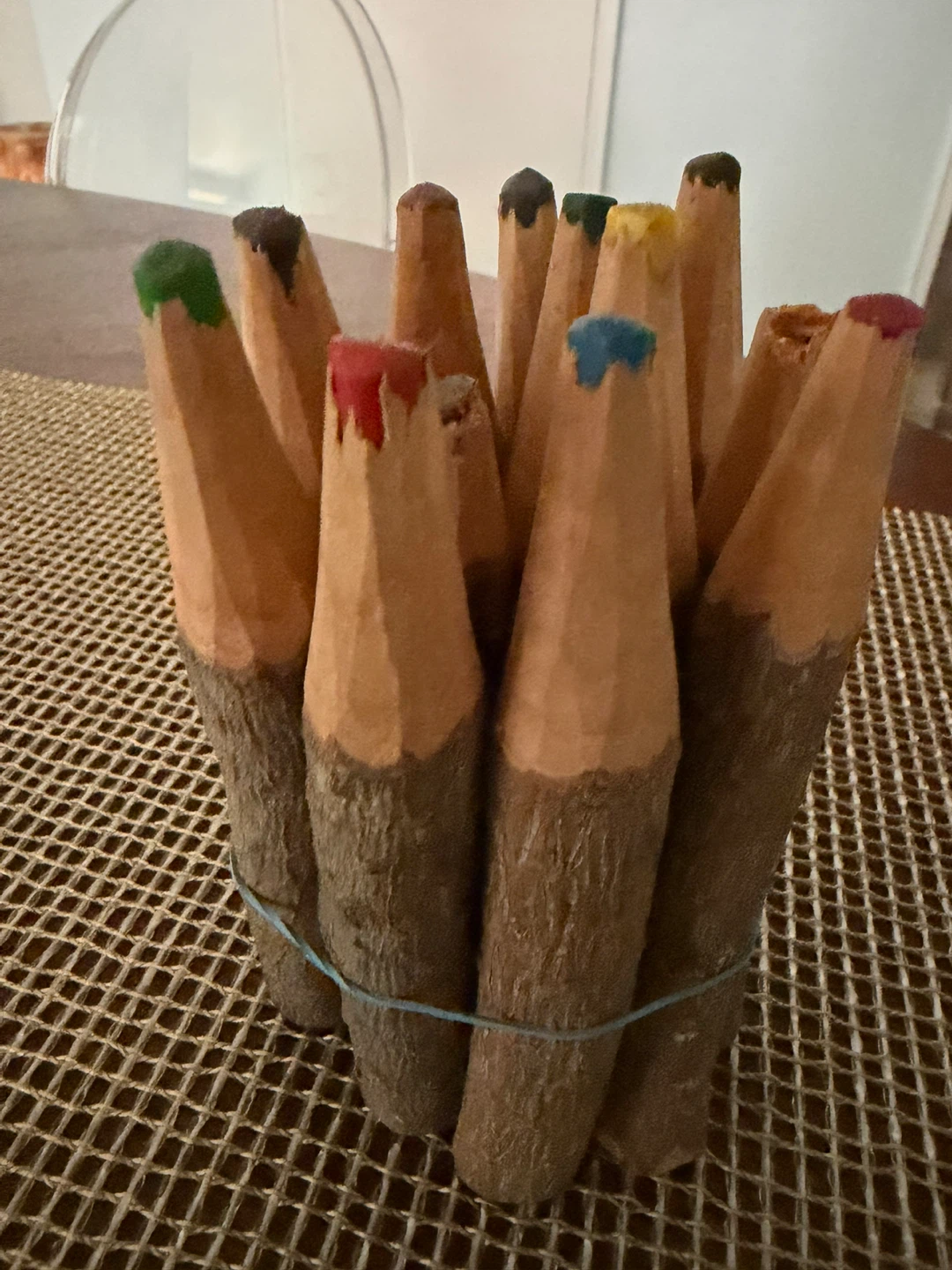 Set of 12 Colored Pencils - Wooden Tree Branch Style