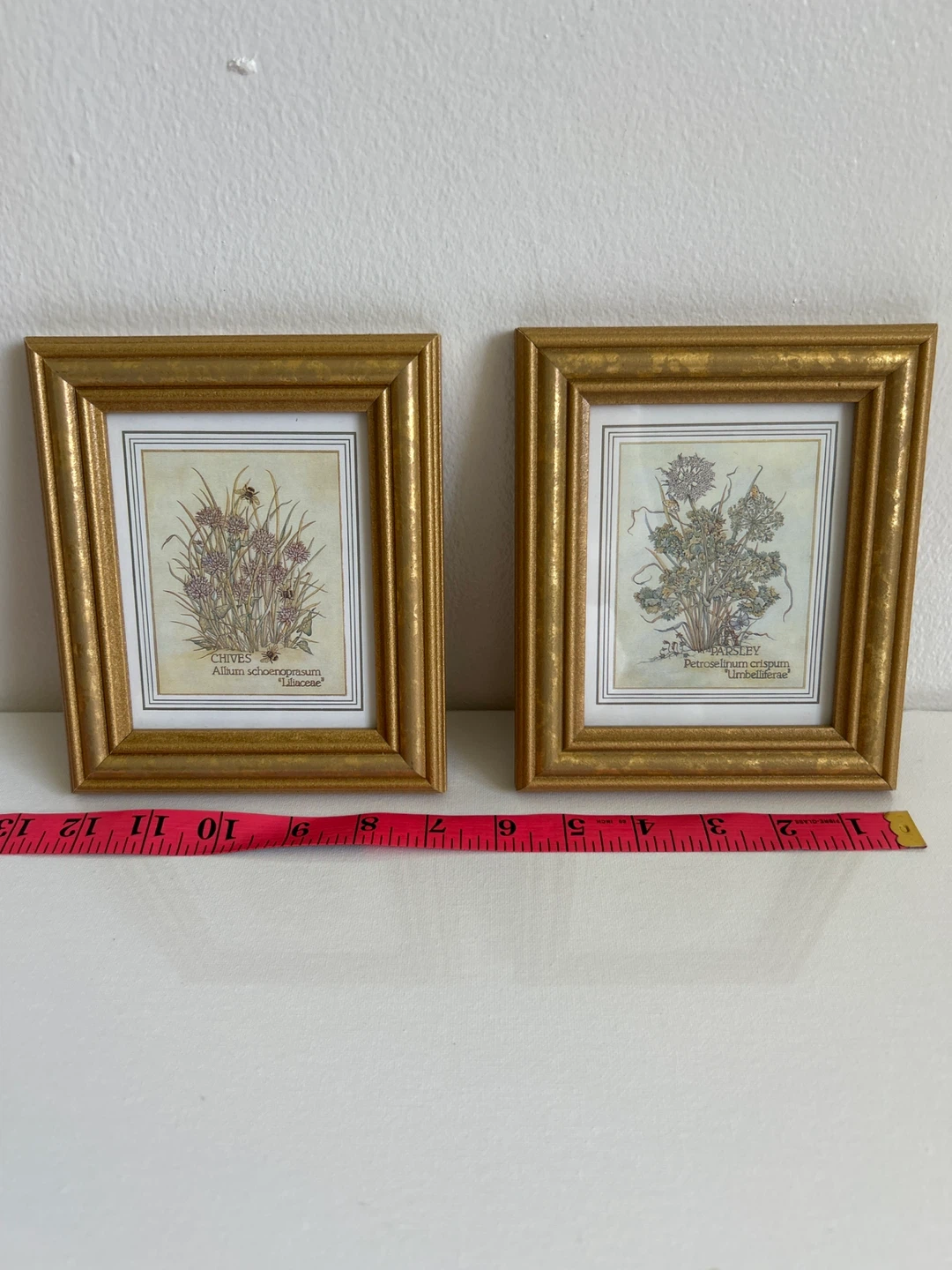 Set of 2 Framed Botanical Prints - Chives & Parsley