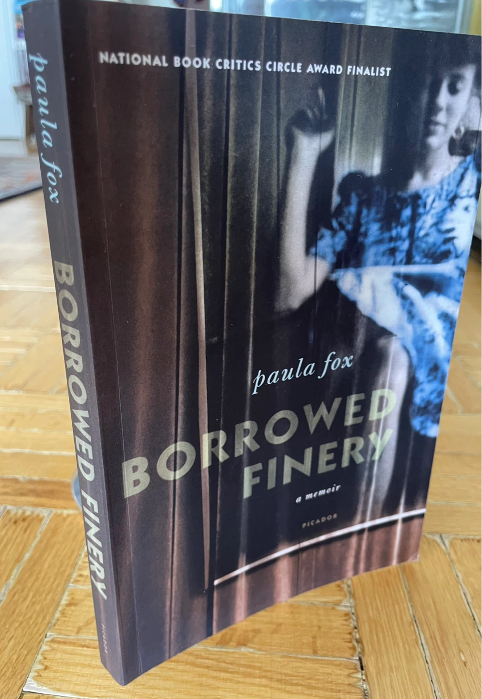 Borrowed Finery Book Paula Fox