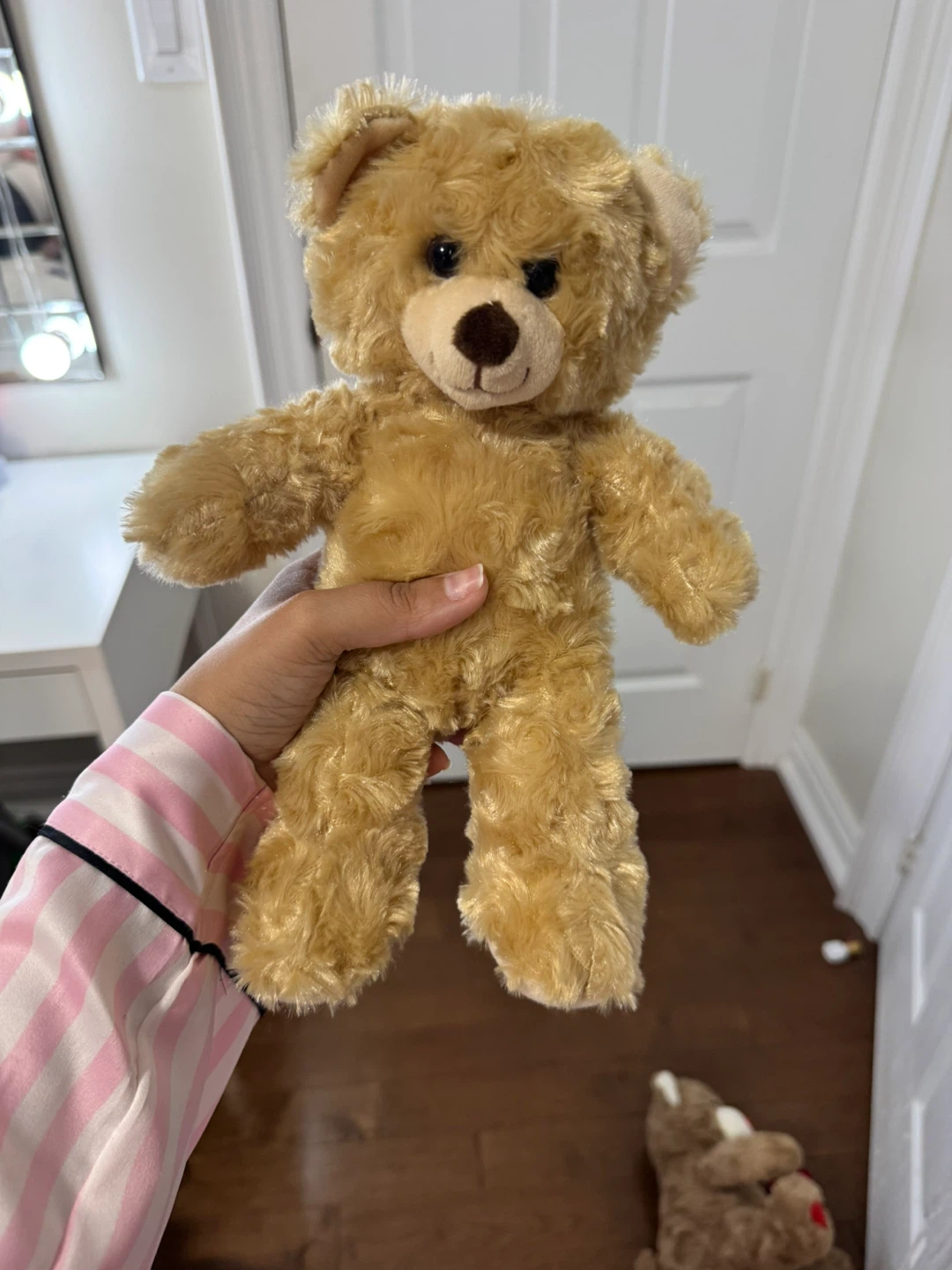 Plush Teddy Bear Toy
