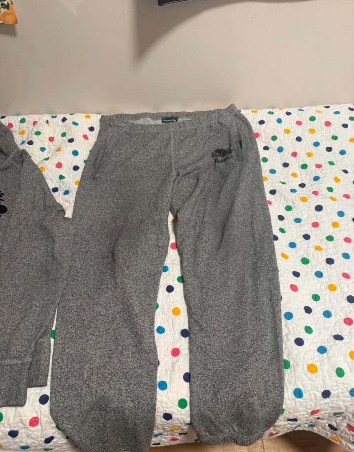 Roots Grey Sweatpants and Hoodie Set - photo 2