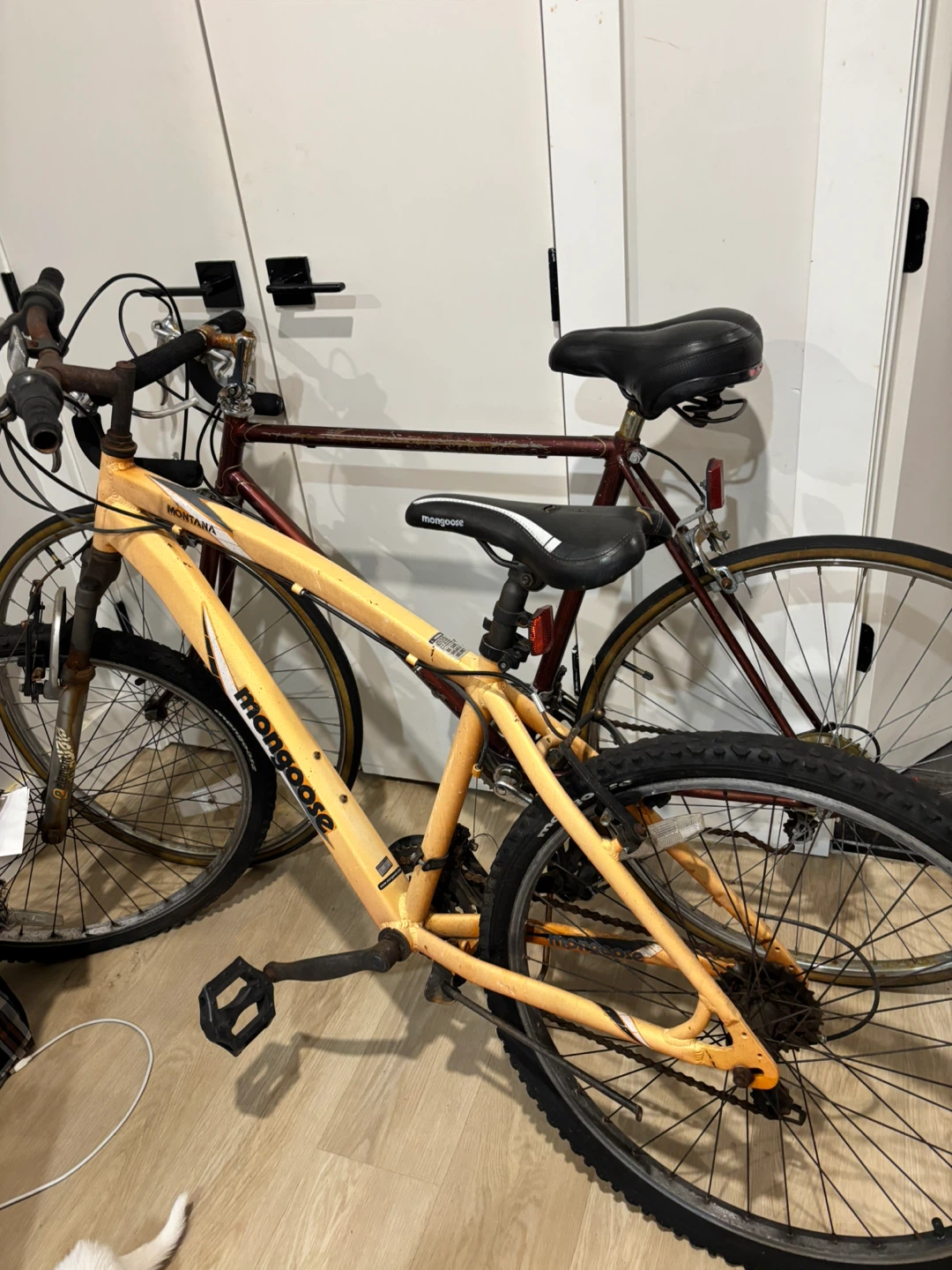 2 bikes ($40 each) - photo 2