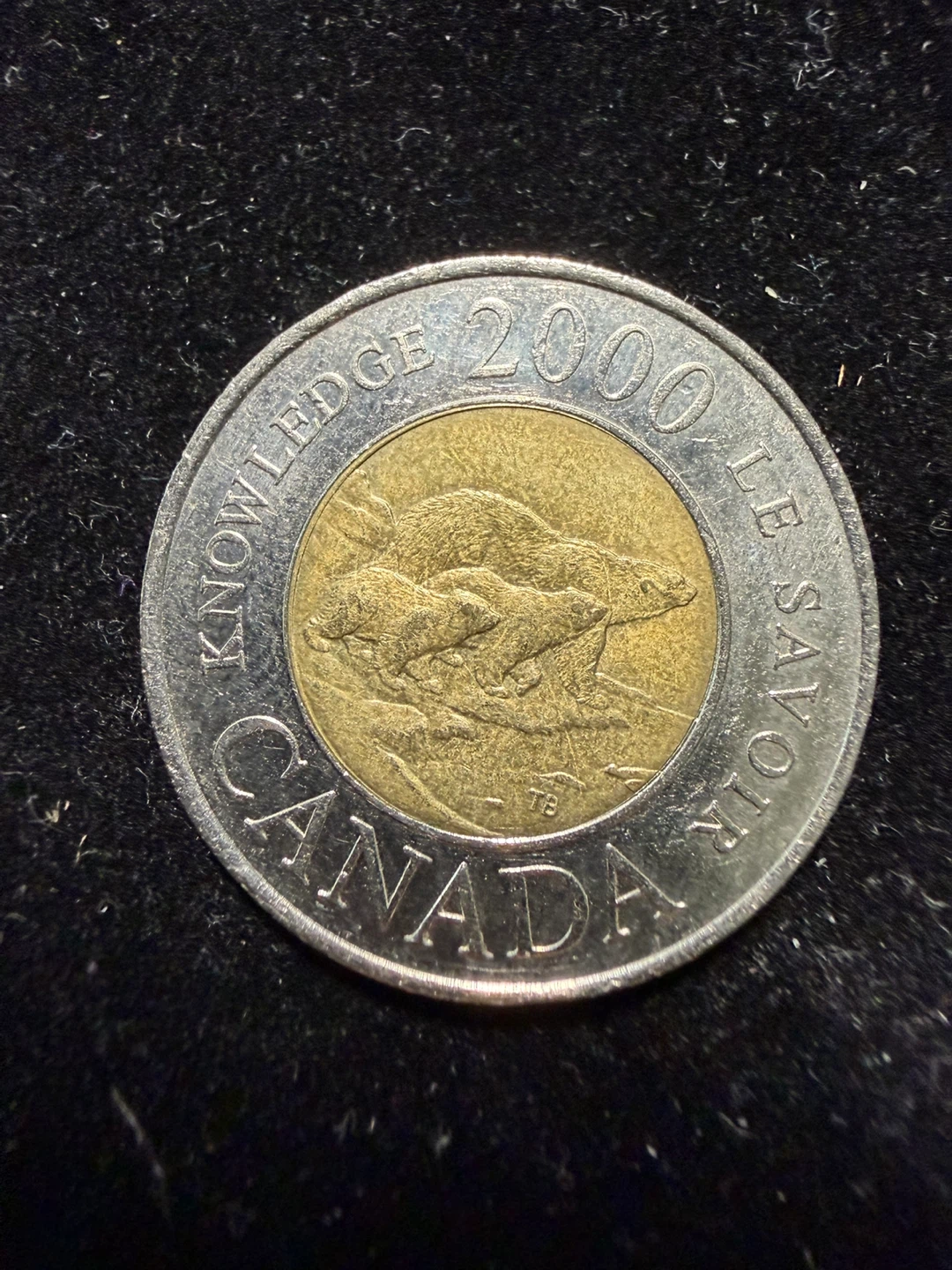 Canadian 2 Dollar Coin (Toonie)