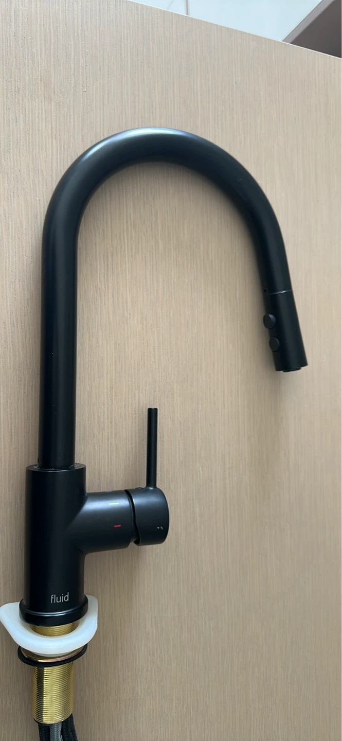 Black Fluid Gooseneck Kitchen Faucet - photo 4