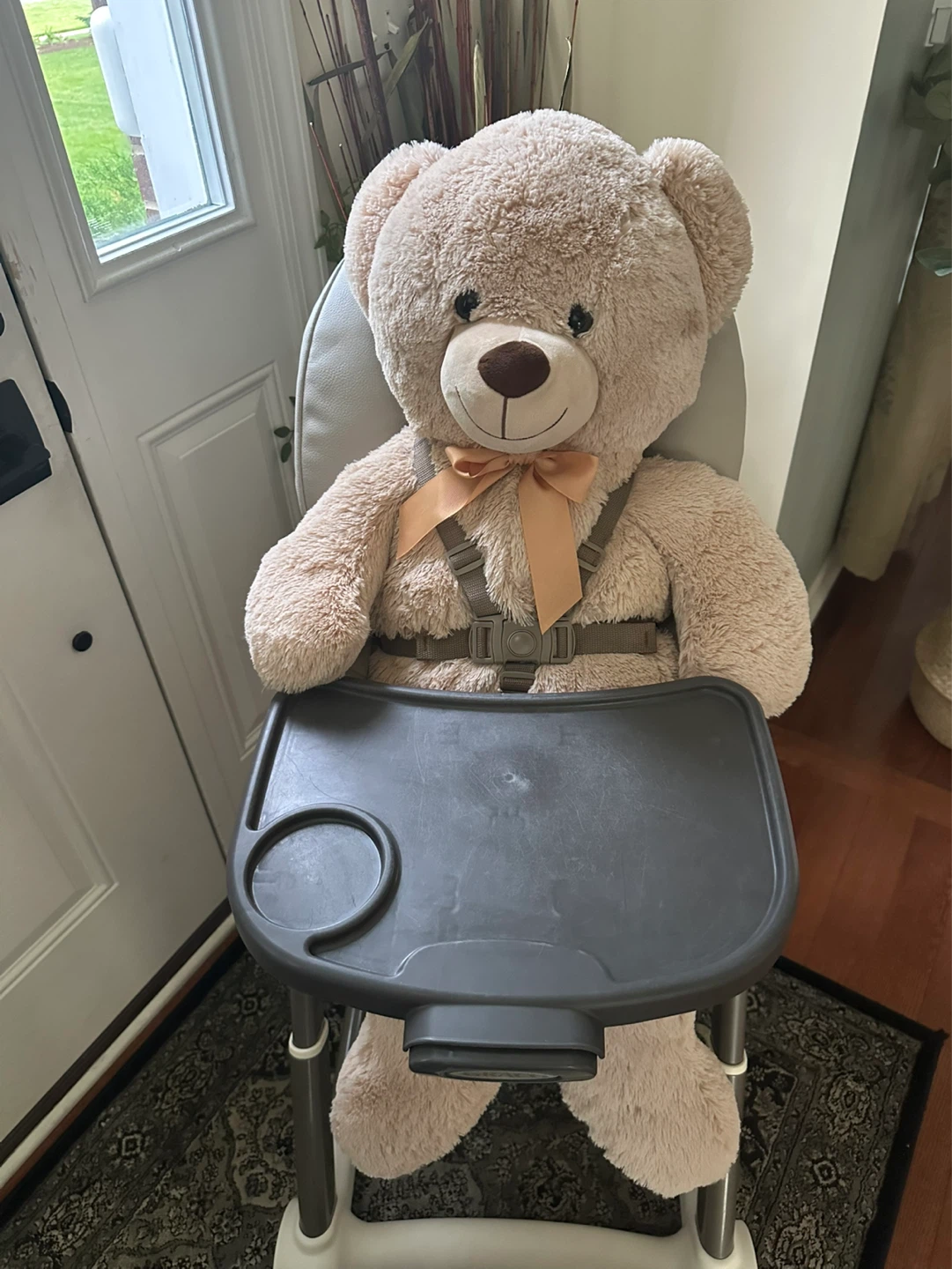 Graco Convertible High Chair - photo 3