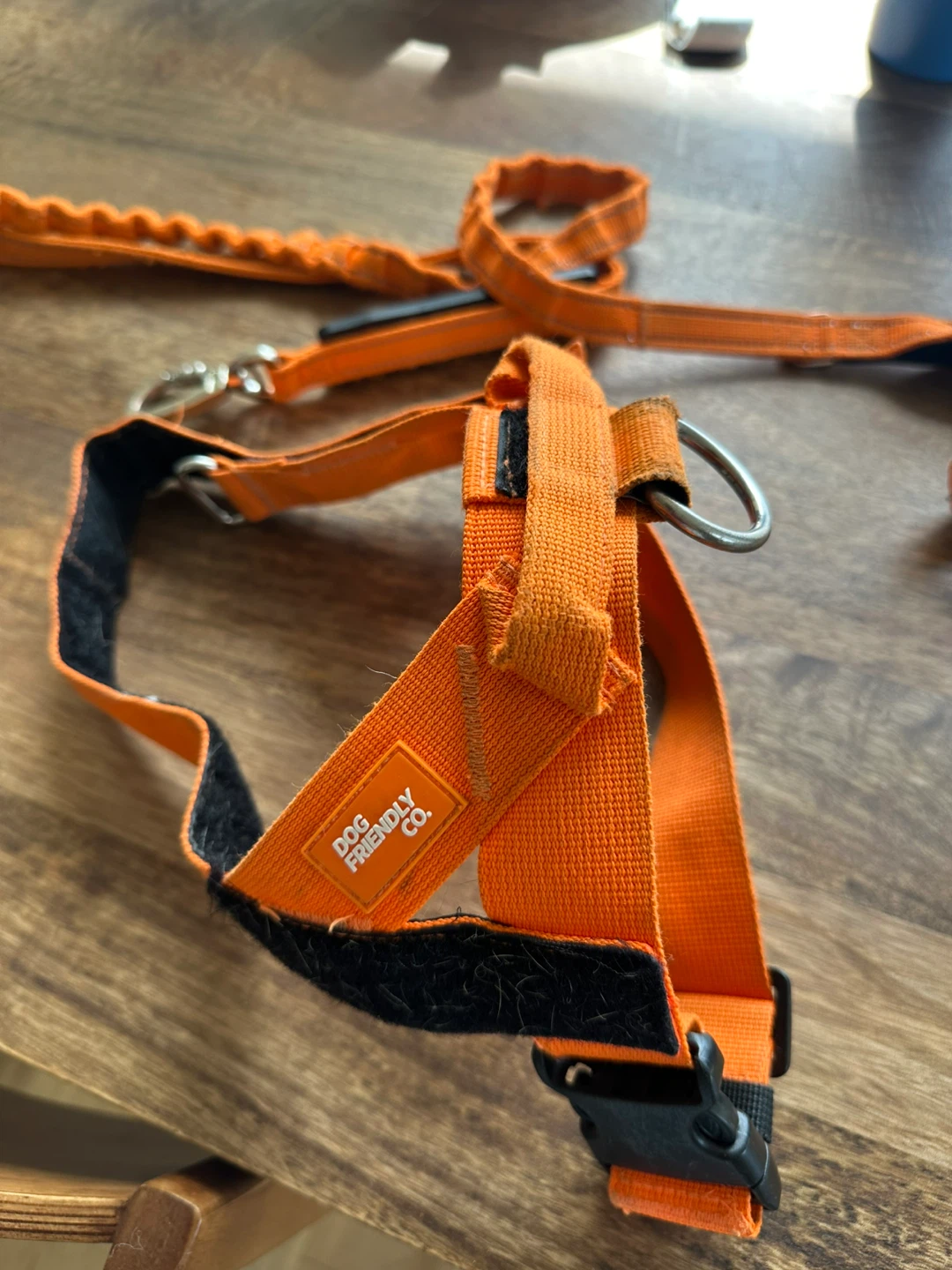 Dog Friendly Co. Orange Dog Harness and Leash Set