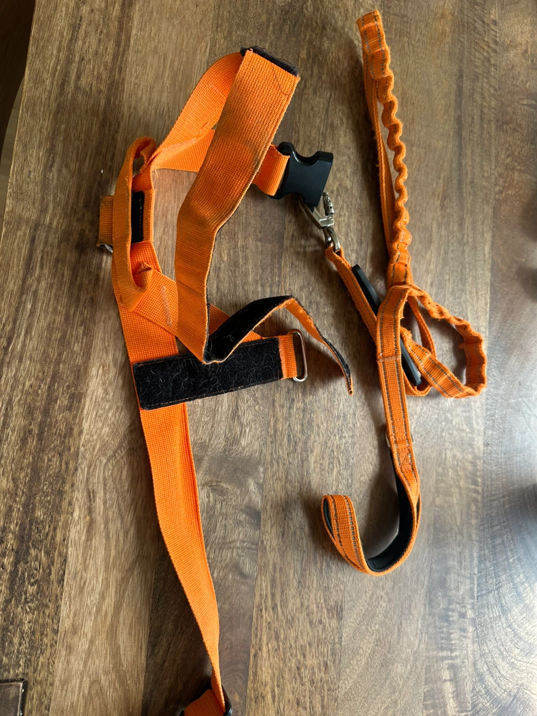 Dog Friendly Co. Orange Dog Harness and Leash Set - photo 3
