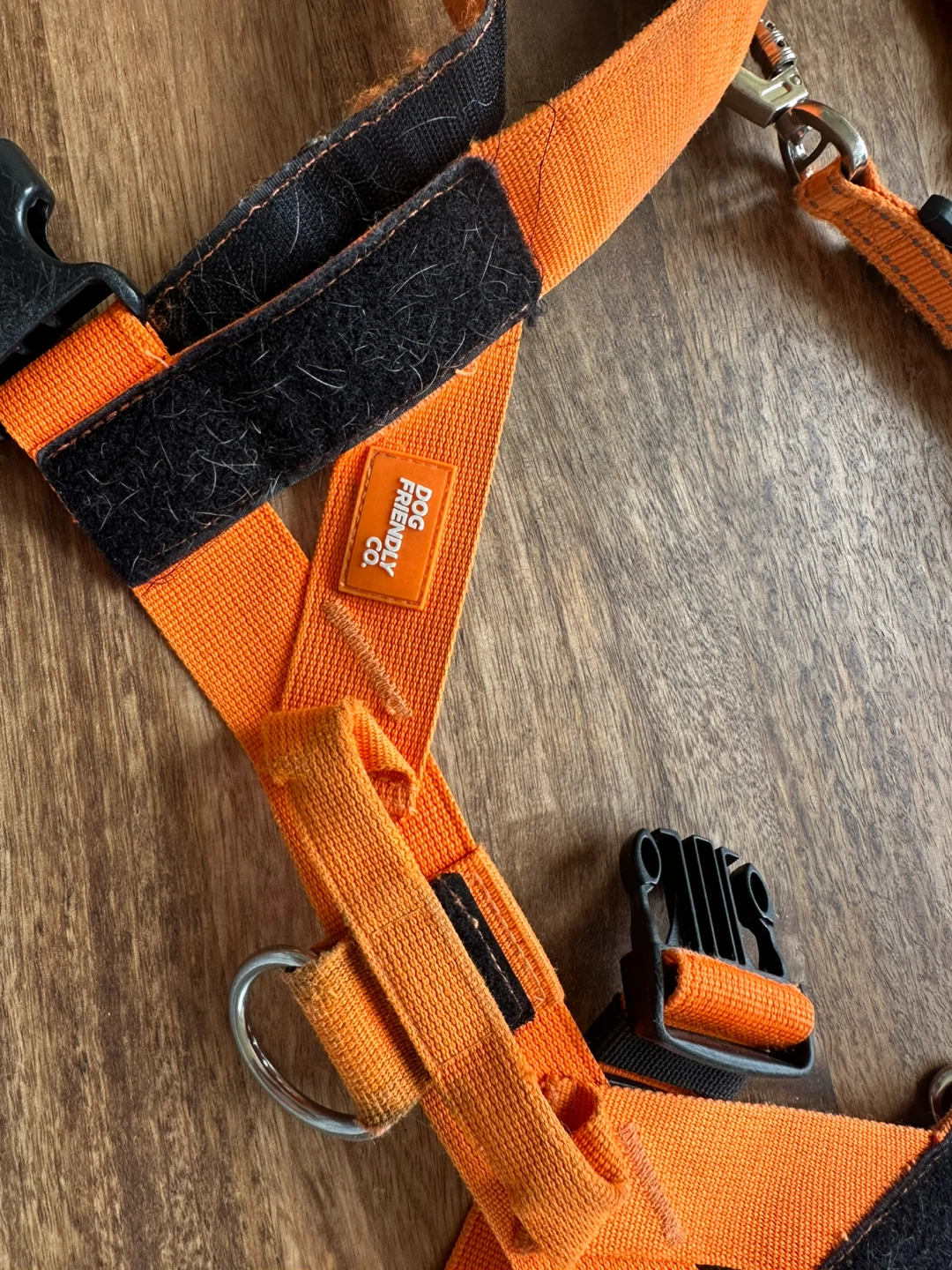 Dog Friendly Co. Orange Dog Harness and Leash Set - photo 2