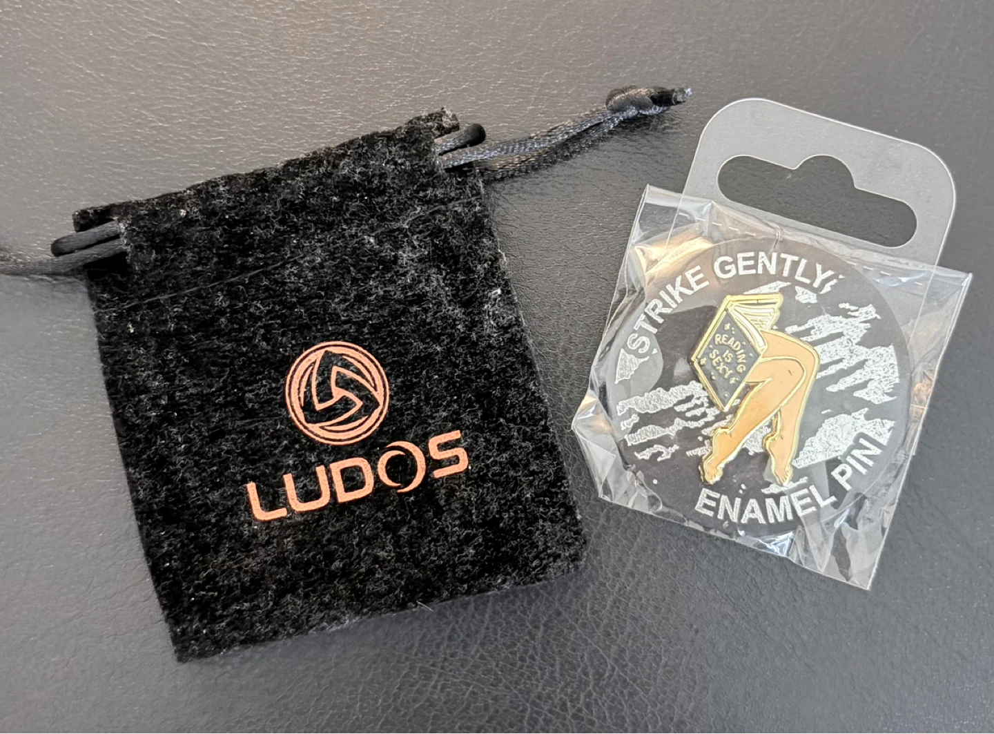 LUDOS "Reading is Sexy" Enamel Pin - photo 3