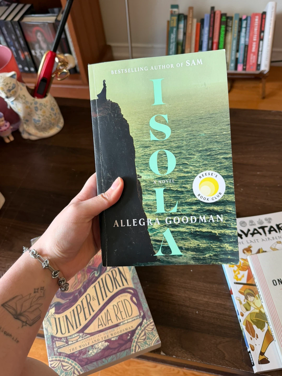 Isola by Allegra Goodman Novel