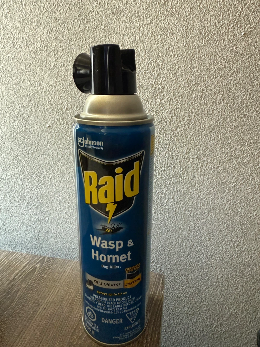 Brand New Raid Wasp & Hornet Spray – Unused