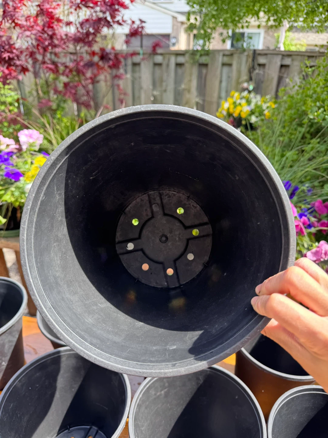 $1 Each Nursery Pot - 8.75”× 8.5” - photo 3