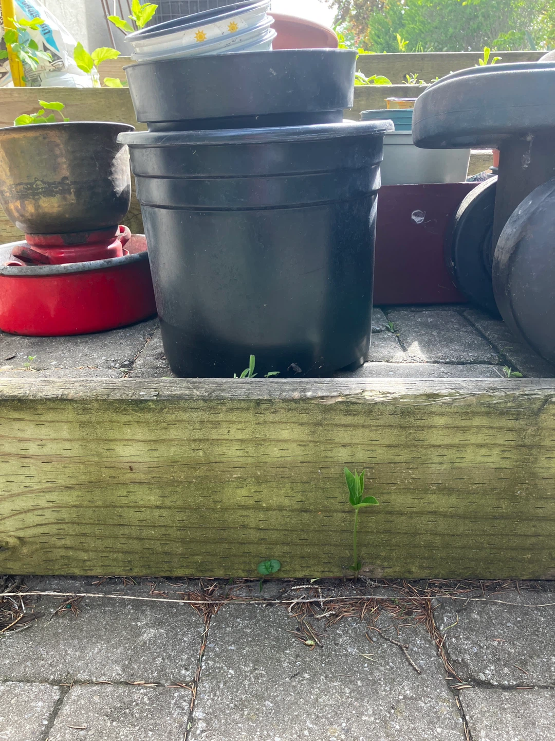 Lot of Plant Pots and Garden Wagon - photo 2