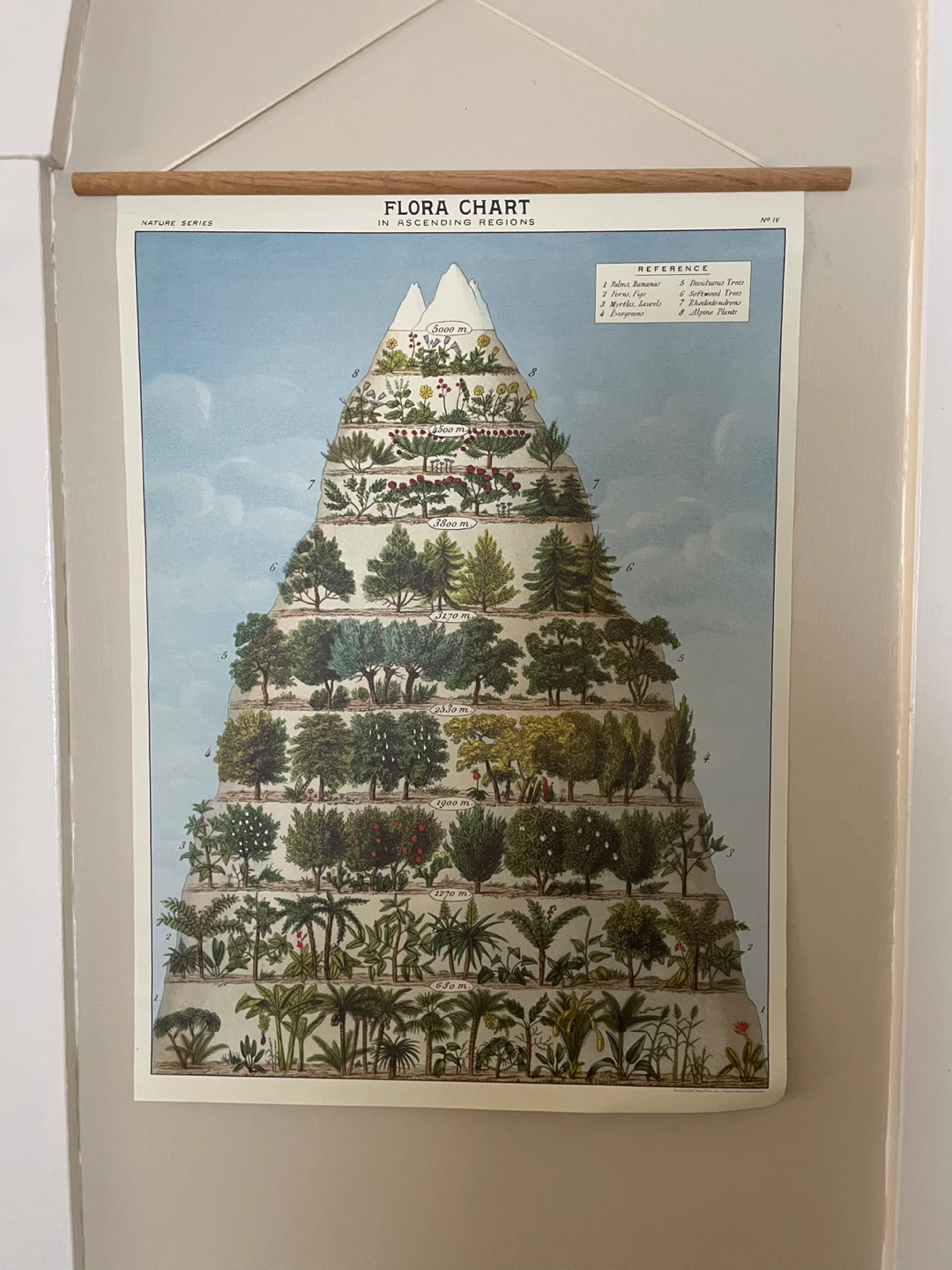 Hanging Tree Poster