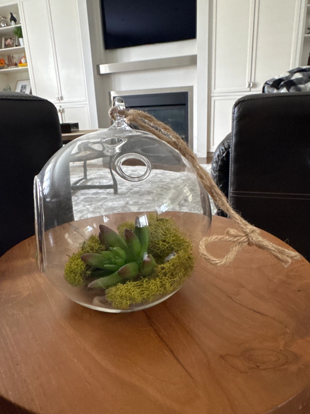 Hanging Glass Terrarium with Succulent and Moss - photo 2