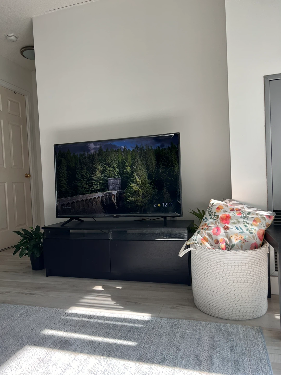 TCL 50-inch Smart TV-Excellent Condition