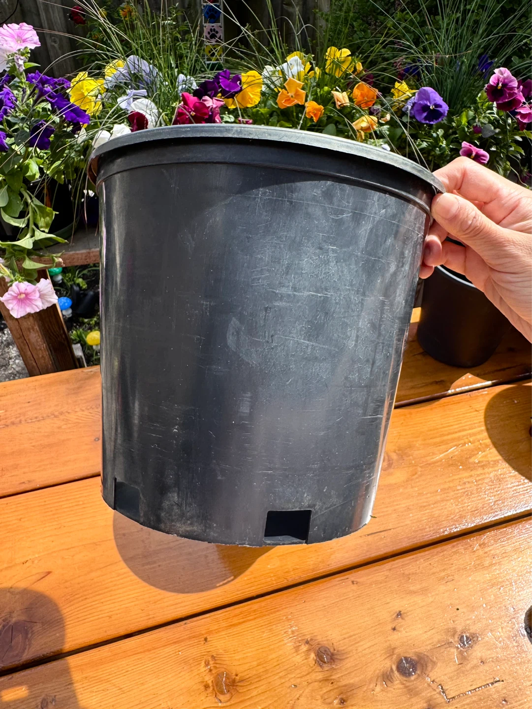 $1 Each Nursery Pot - 9”× 8” - photo 5