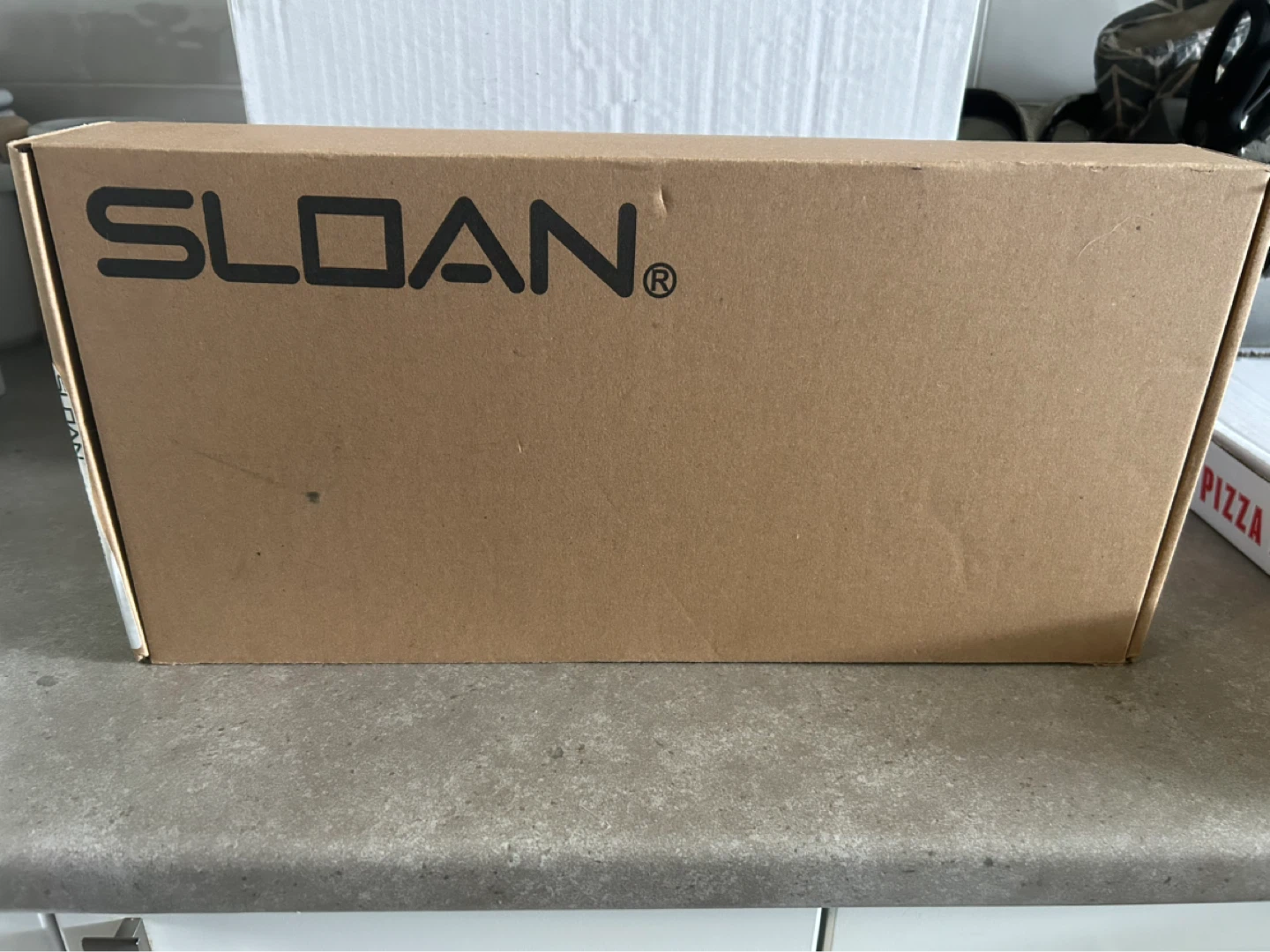 Sloan SF-2100 Sensor Activated Touch-Free Faucet - photo 4