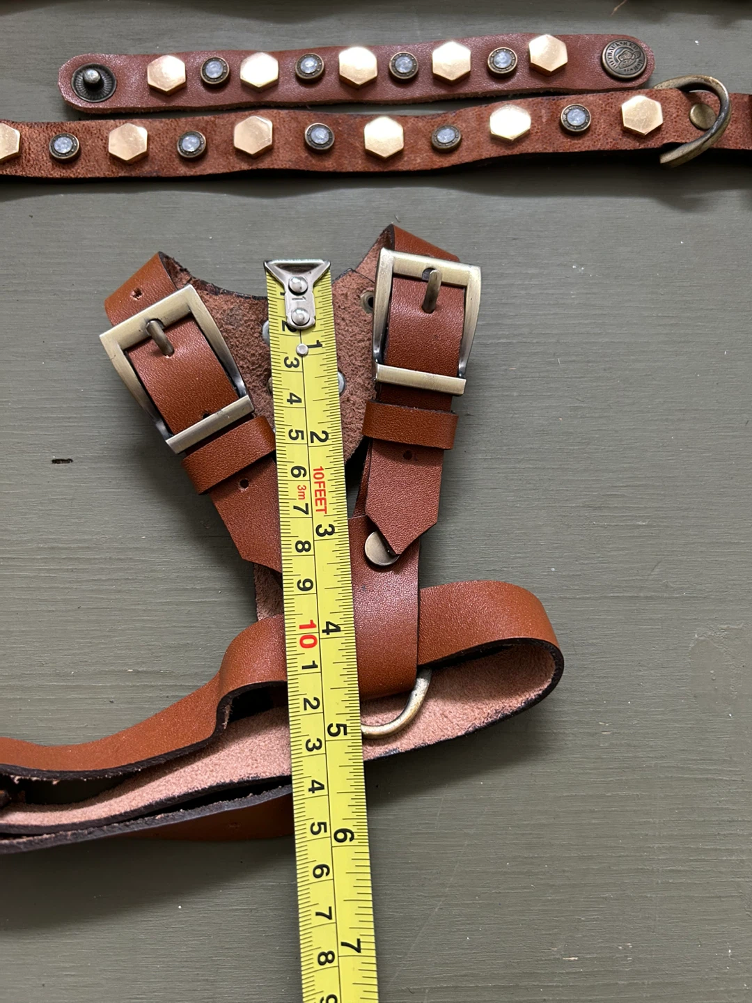 Brown Leather Dog Collars with Studs (Set of 2) - photo 5