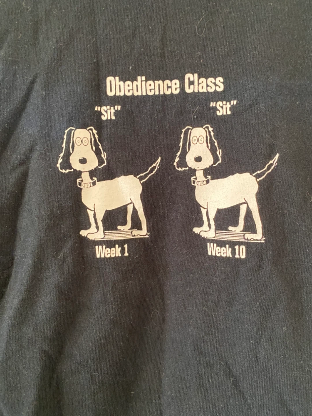 Black "Obedience Class" Dog T-Shirt - photo 4