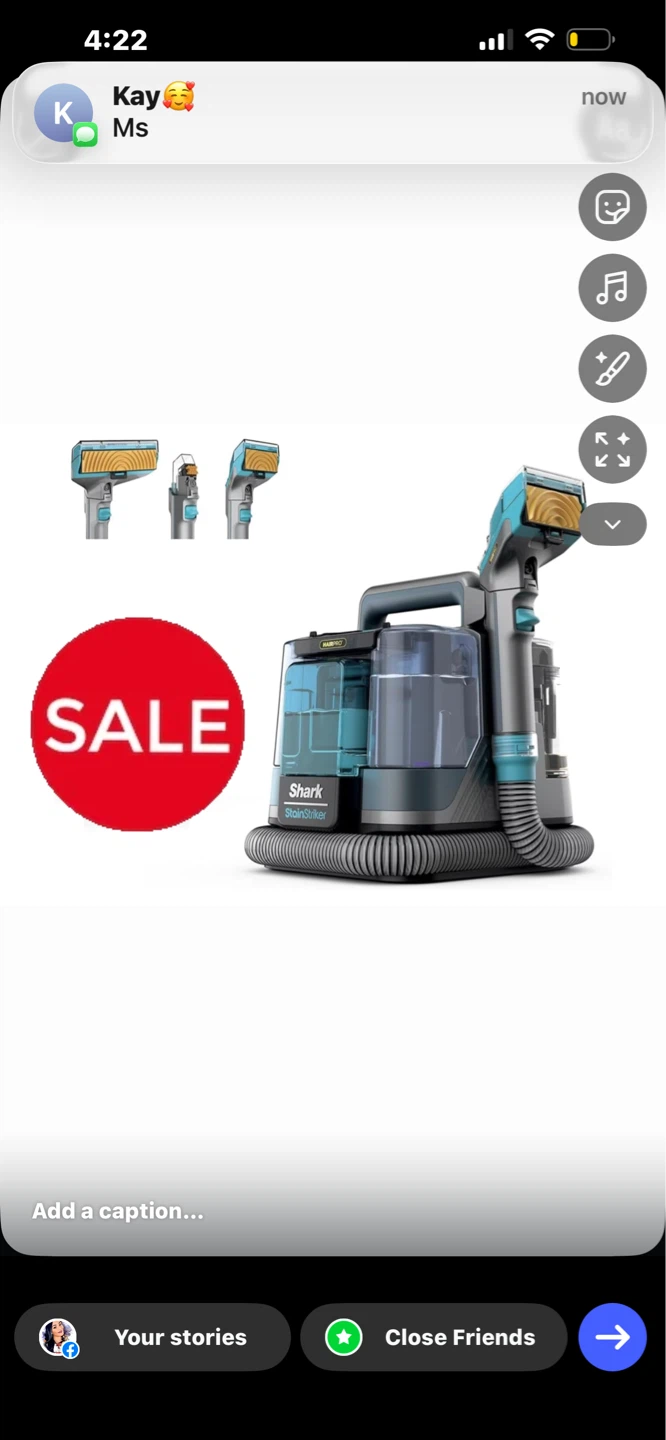 Shark StainStriker Carpet Cleaner