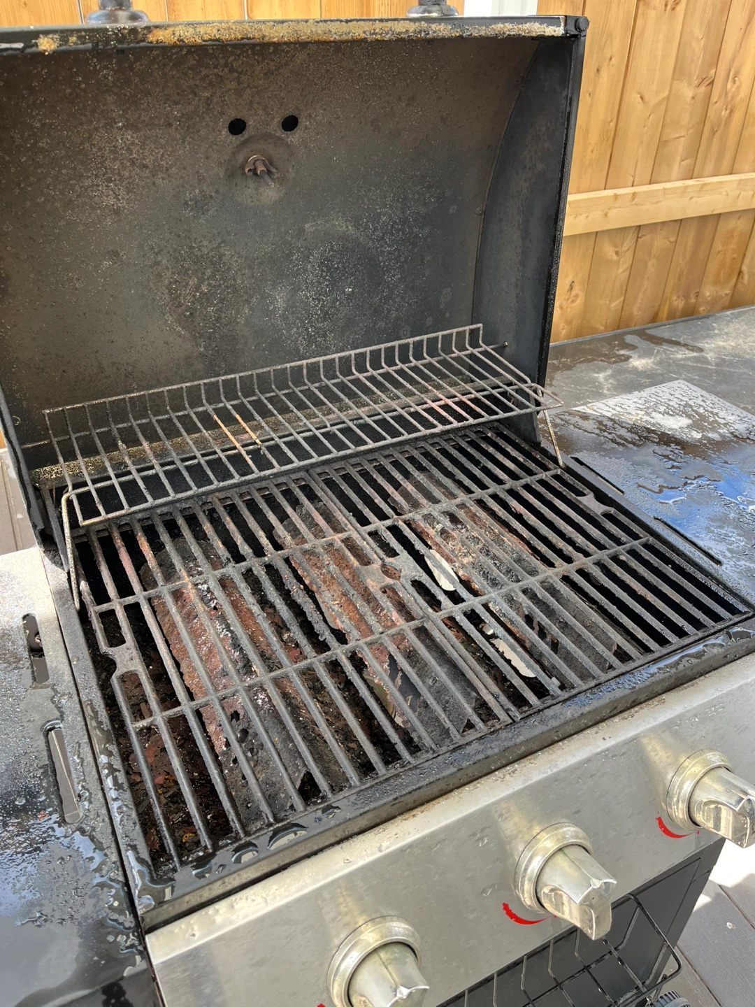 Backyard Grill Propane BBQ