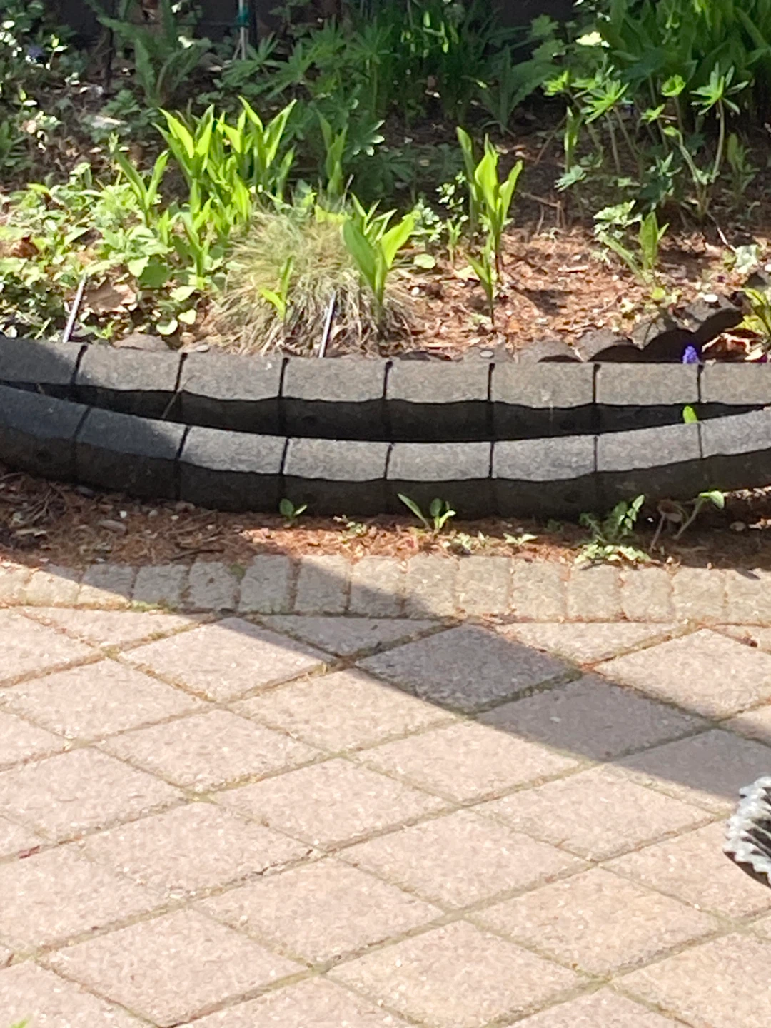 10 Recycled Rubber Garden Edging with spikes - photo 2
