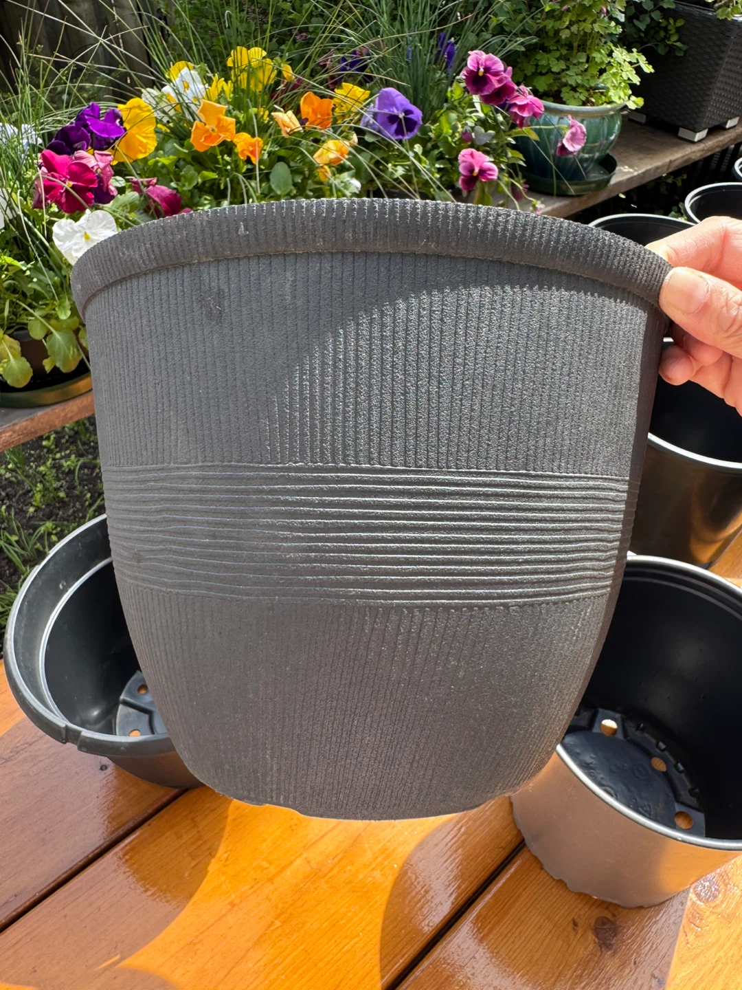 $1 Each Nursery Pot - Various Big Sizes