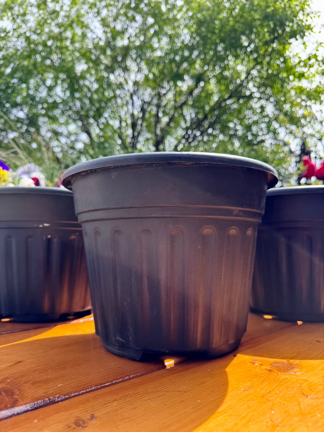 $2 Each Large Nursery Pot - 10.5”× 8” - photo 5