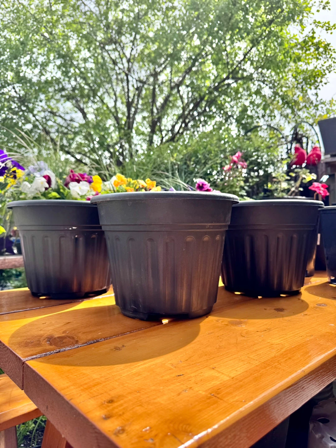 $2 Each Large Nursery Pot - 10.5”× 8” - photo 4