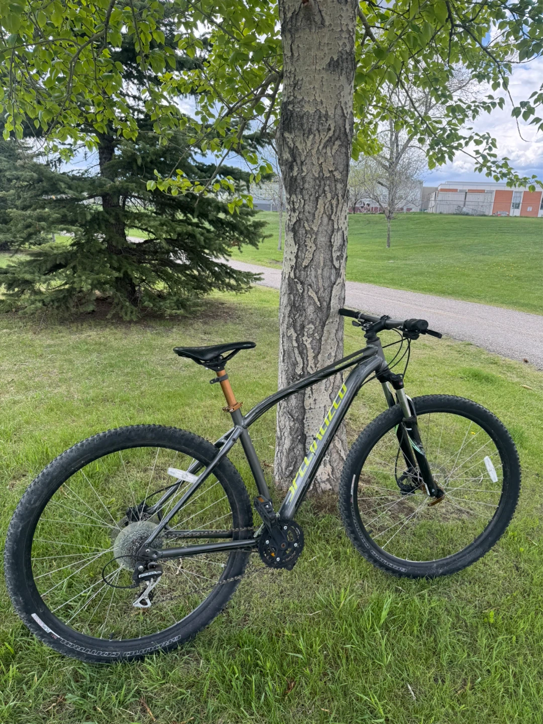 Specialized Mountain Bike