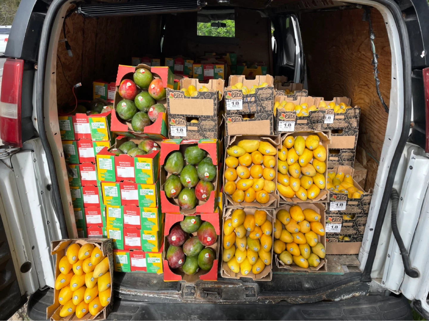 Crates of Mangoes