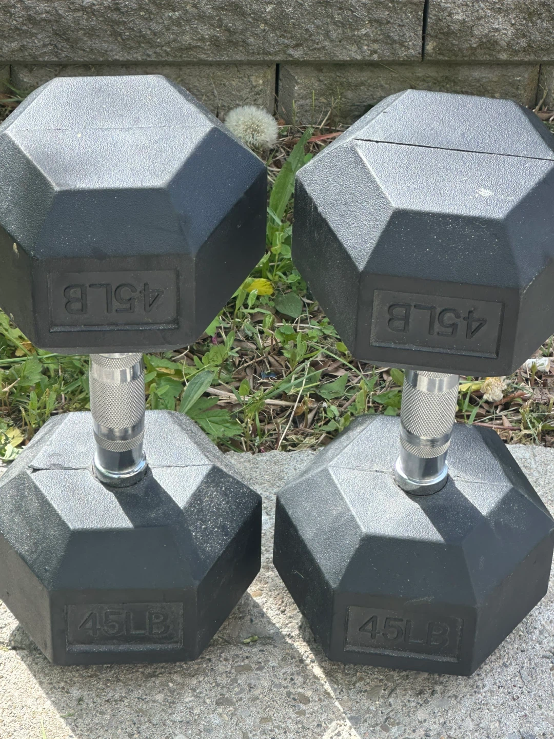 2 45LB Premium Hex Dumbbells