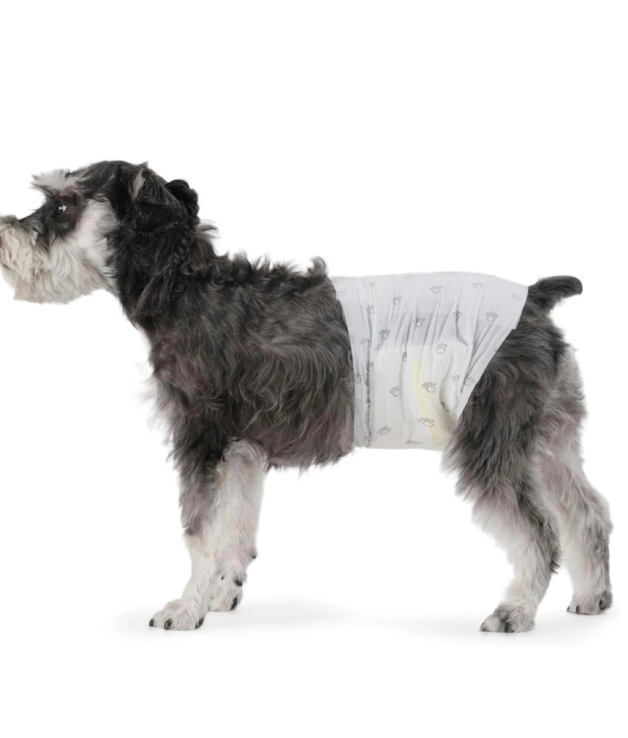 Male Dog Diapers, Medium, 30 Count