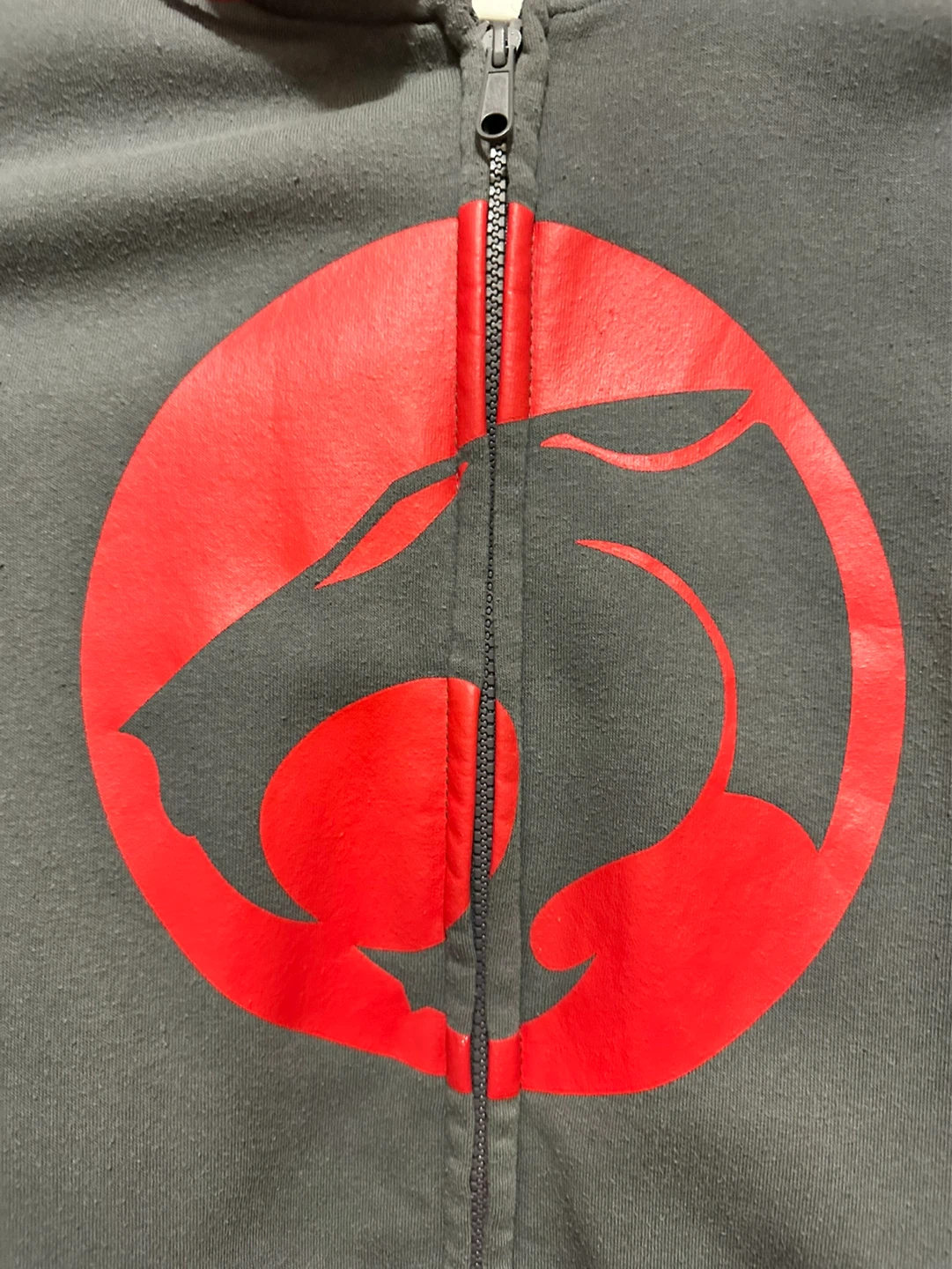2011 Thundercats Zip-Up Hoodie Vintage - photo 2