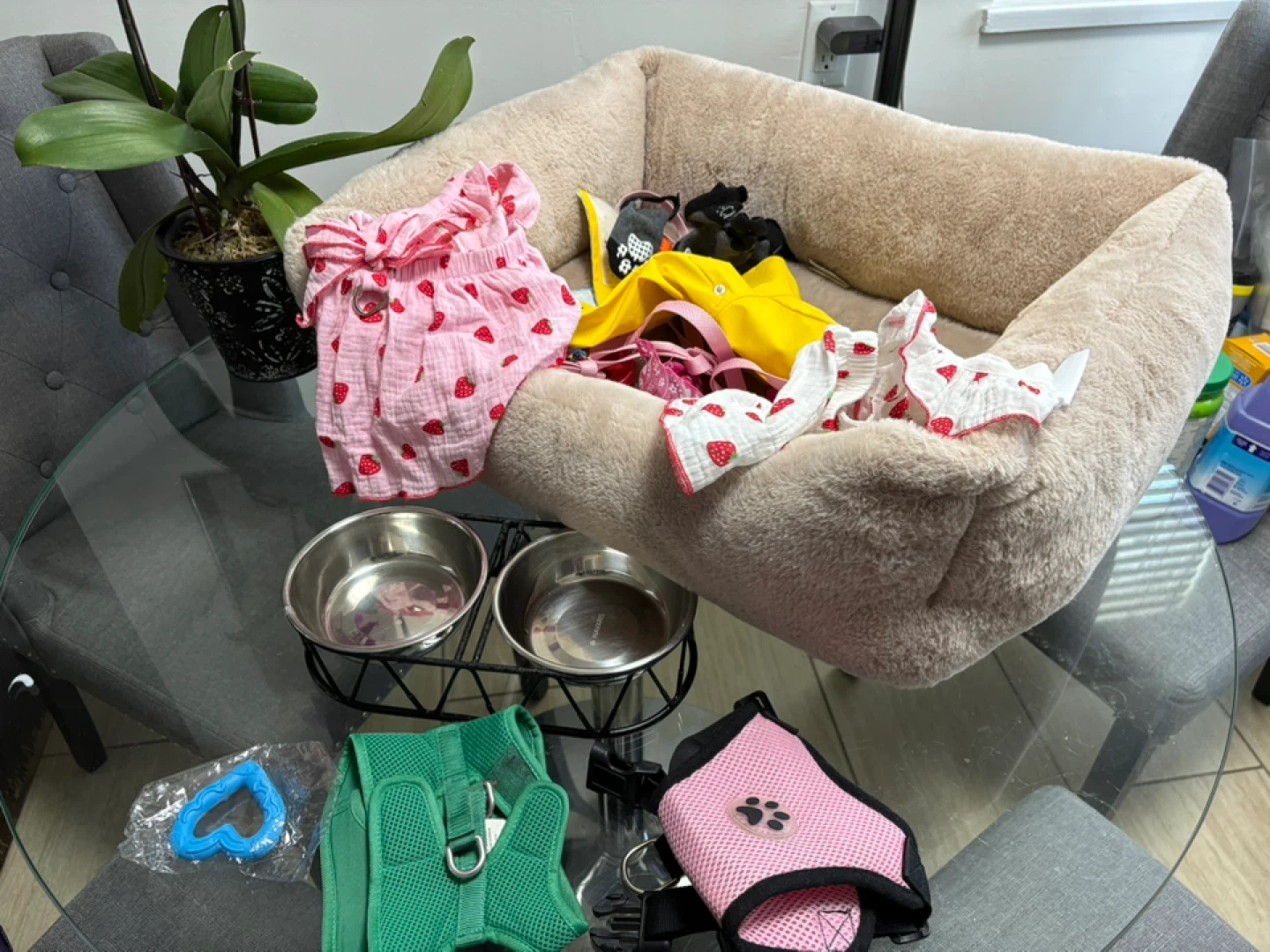 Assorted Pet Accessories Bundle - photo 2