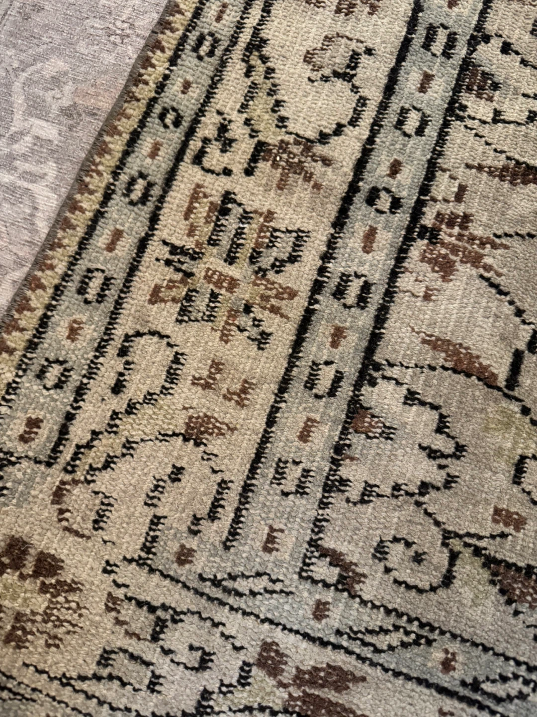 Persian Style Area Rug - Beige and Brown - photo 3