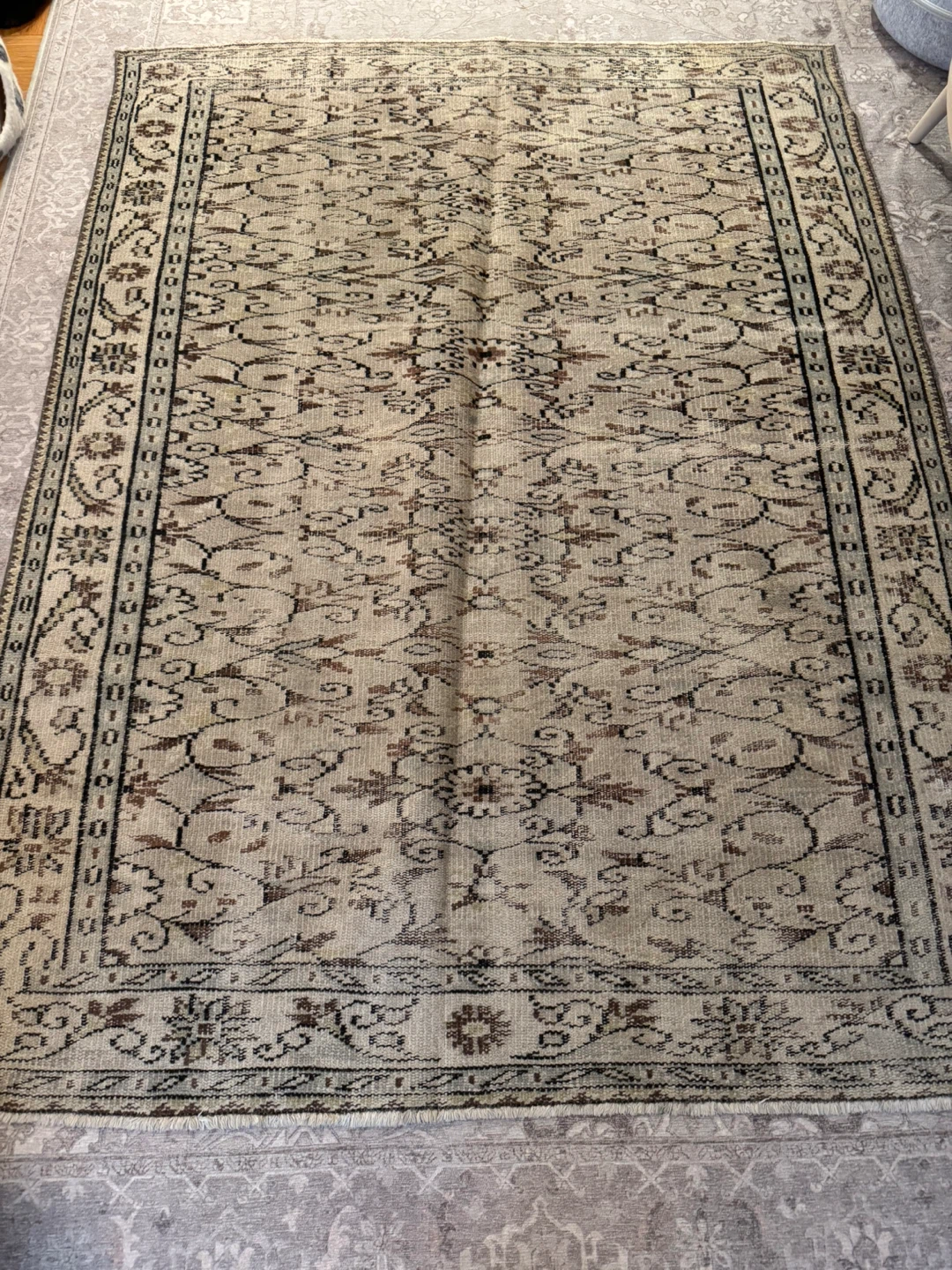 Persian Style Area Rug - Beige and Brown