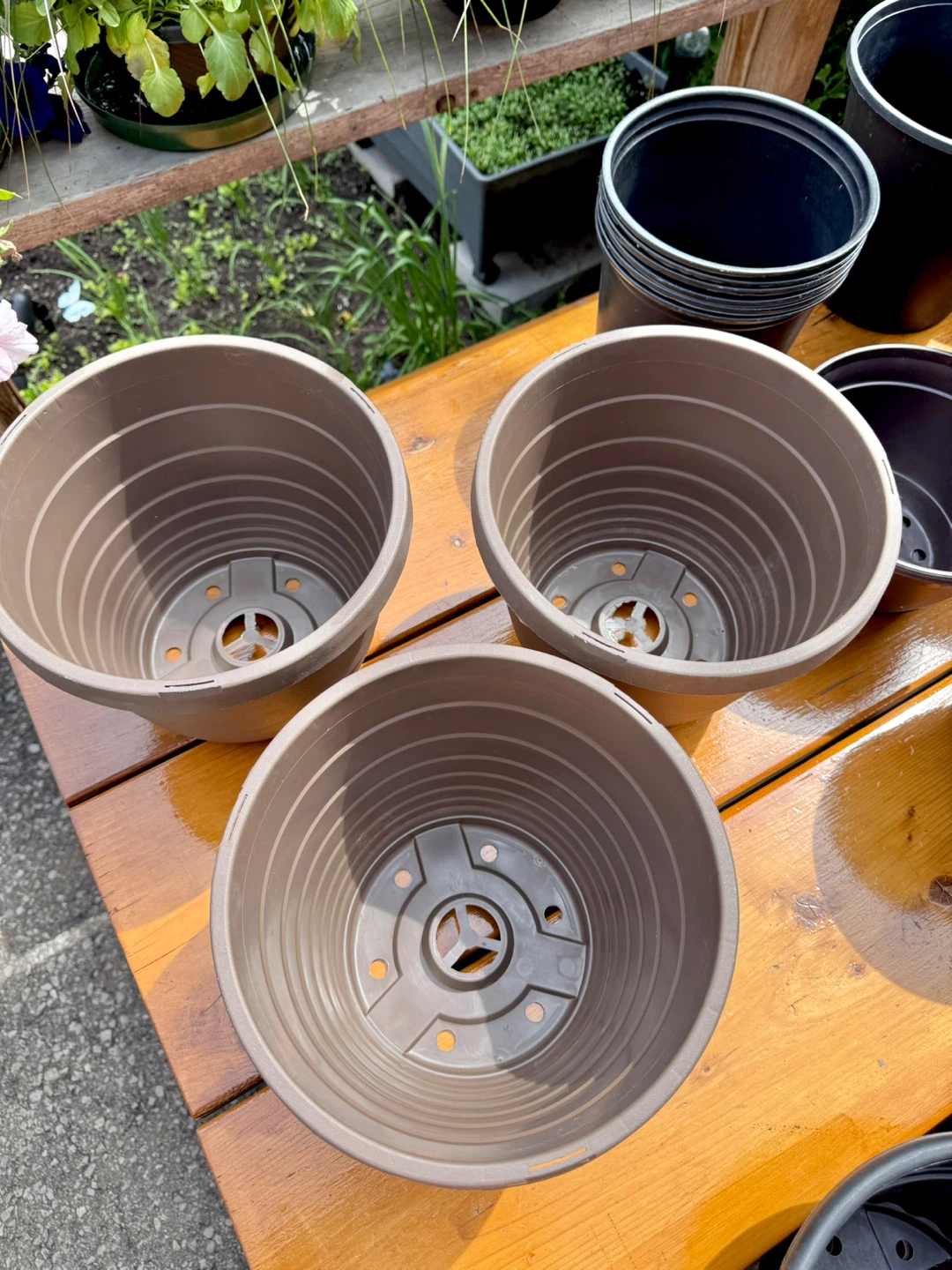 $2 Each Large Nursery Pot - 9.5”× 8” Brown - photo 4
