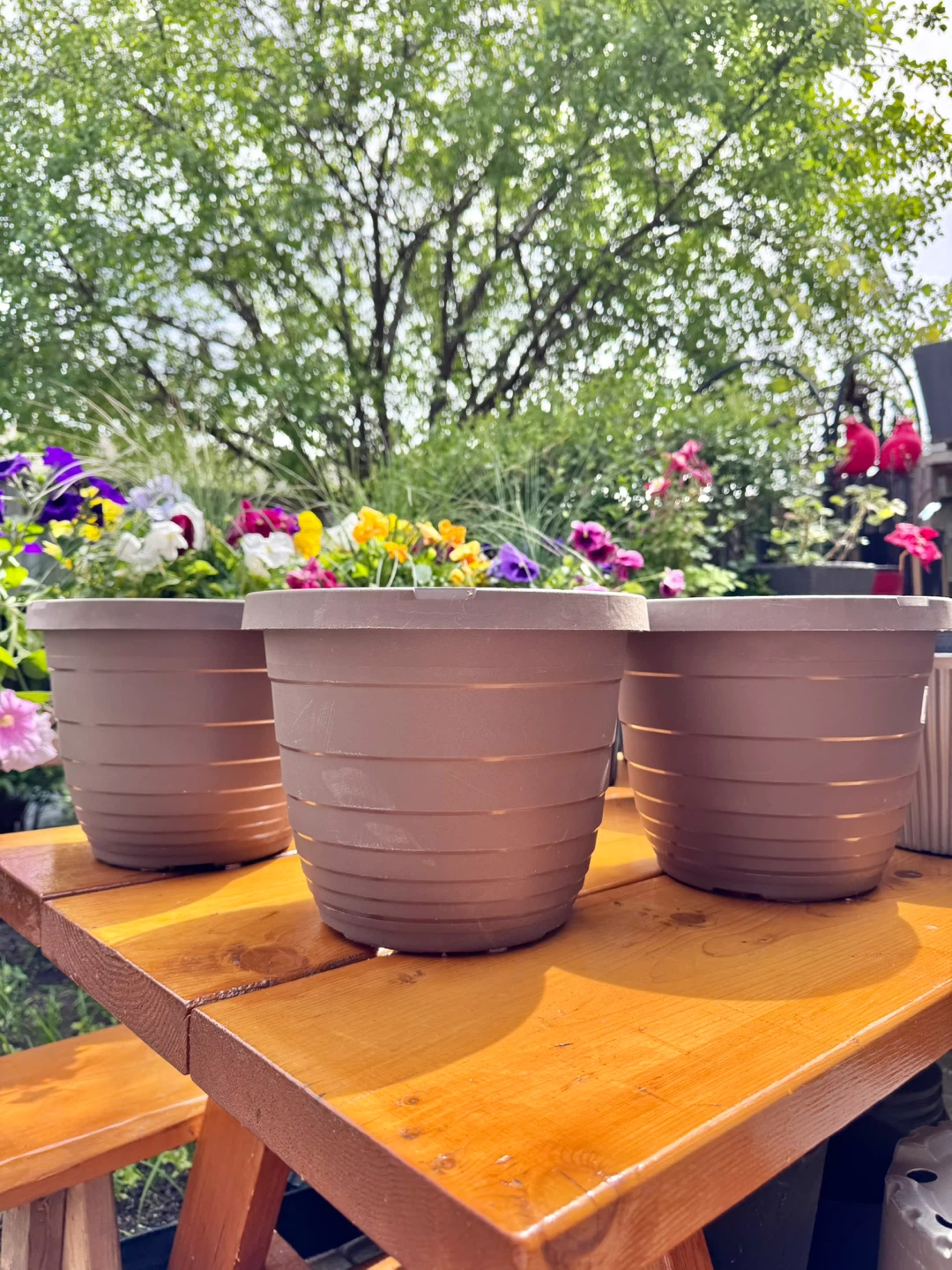 $2 Each Large Nursery Pot - 9.5”× 8” Brown - photo 3